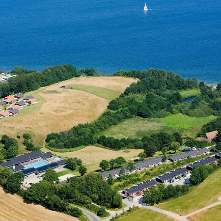 Xvi Aabenraa